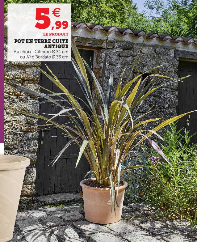 pot en terre cuite antique