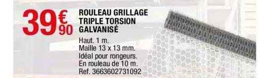 Rouleau Grillage Triple Torsion Galvanisé