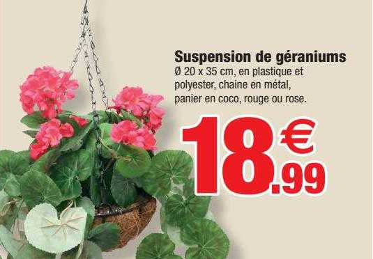 suspension de géraniums