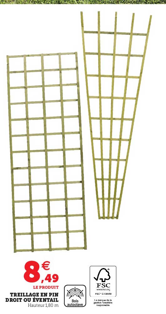 treillage en pin droit ou éventail