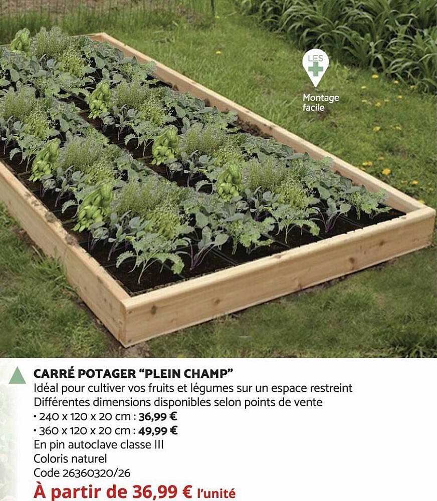 carré potager "plein champ"