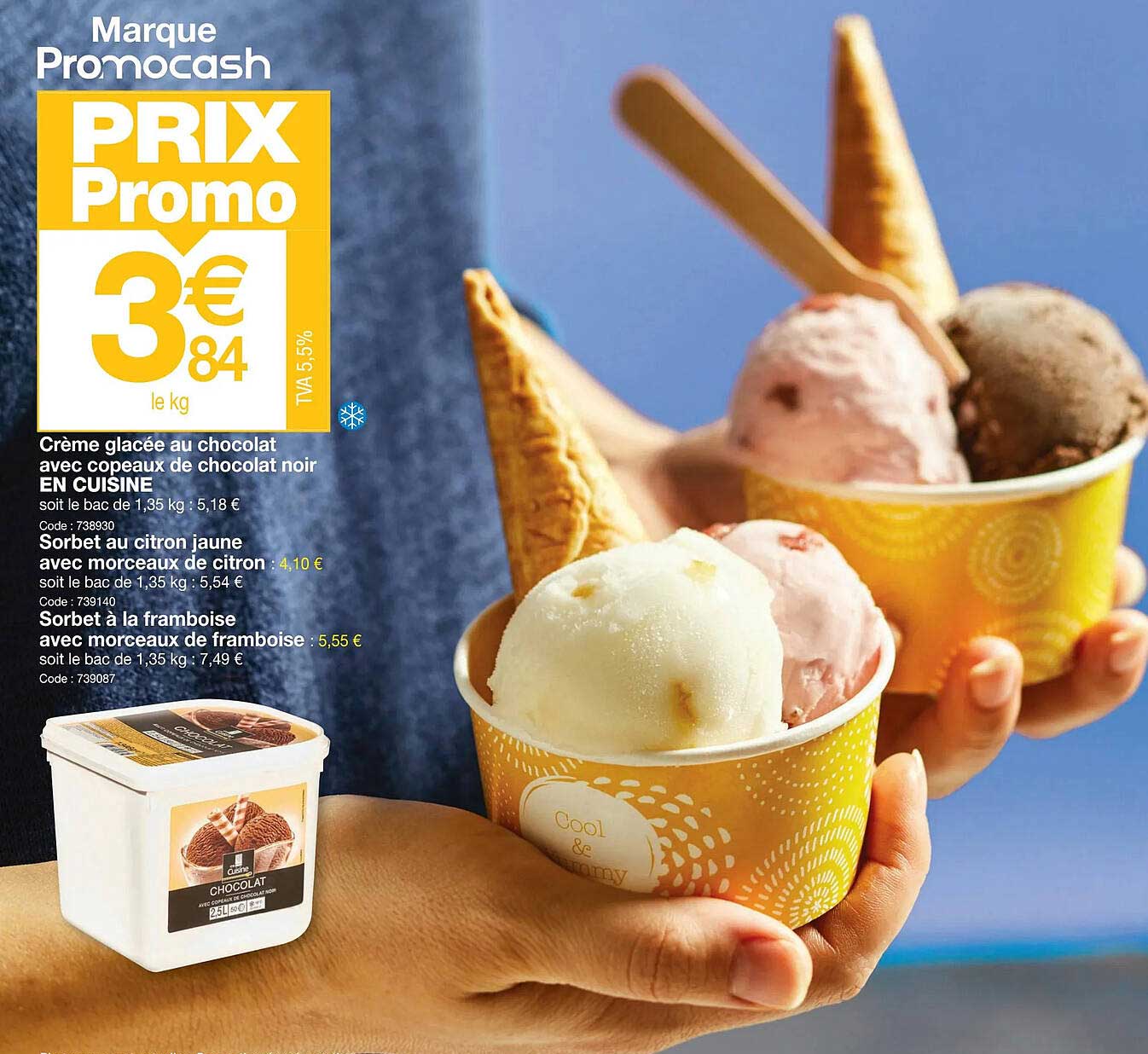 Crème Glacée Au Chocolat Avec Copeaux De Chocolat Noir En Cuisine, Sorbet Au Citron Jaune Avec Morceaux De Citron, Sorbet à La Framboise Avec Morceaux De Framboise