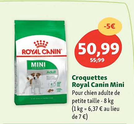 croquettes royal canin mini pour chien adulte de petit taille