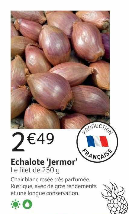 echalote 'jermor'