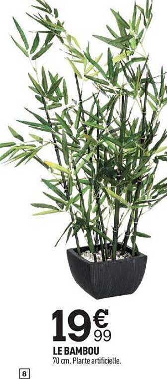 Le Bambou