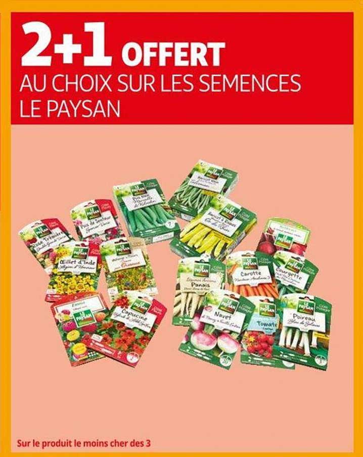 les semences le paysan