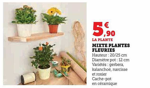 mixte plantes fleuries
