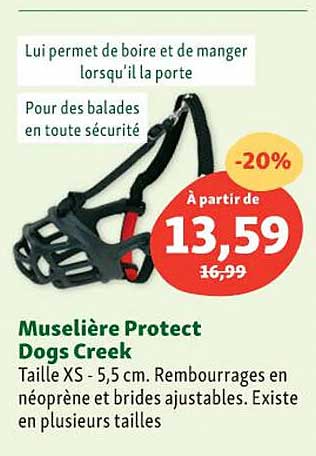 muselière protect dogs creek