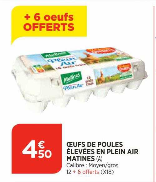 œufs de poules élevées en plein air matines