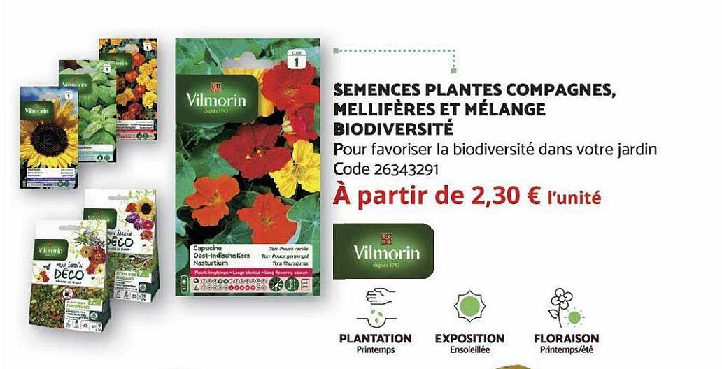semences plantes compagnes, mellifères et mélange biodiversité