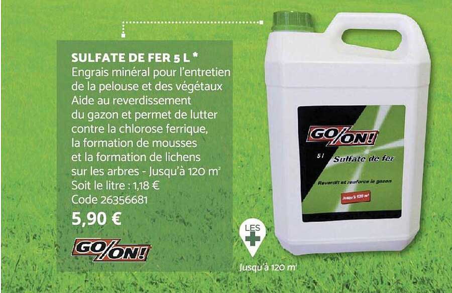 sulfate de fer 5 l go-on!