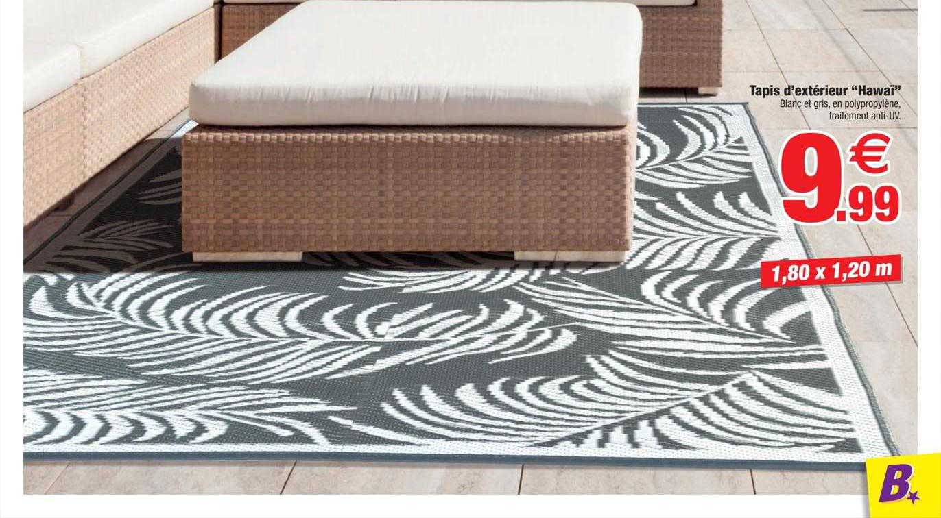 tapis d'extérieur "hawai"