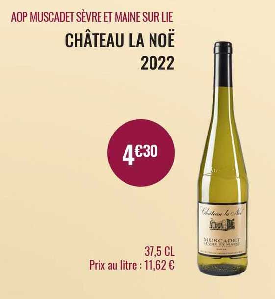 aop muscadet sèvre et maine sur lie château la noë 2022
