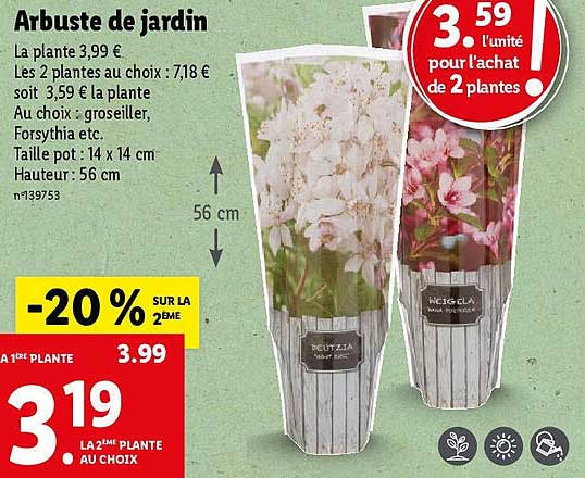 Arbuste De Jardin