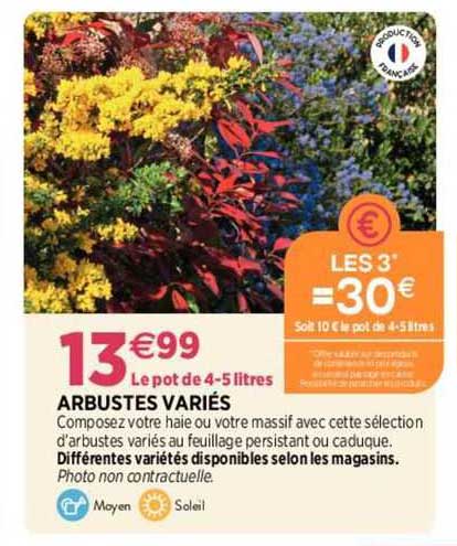 arbustes variés