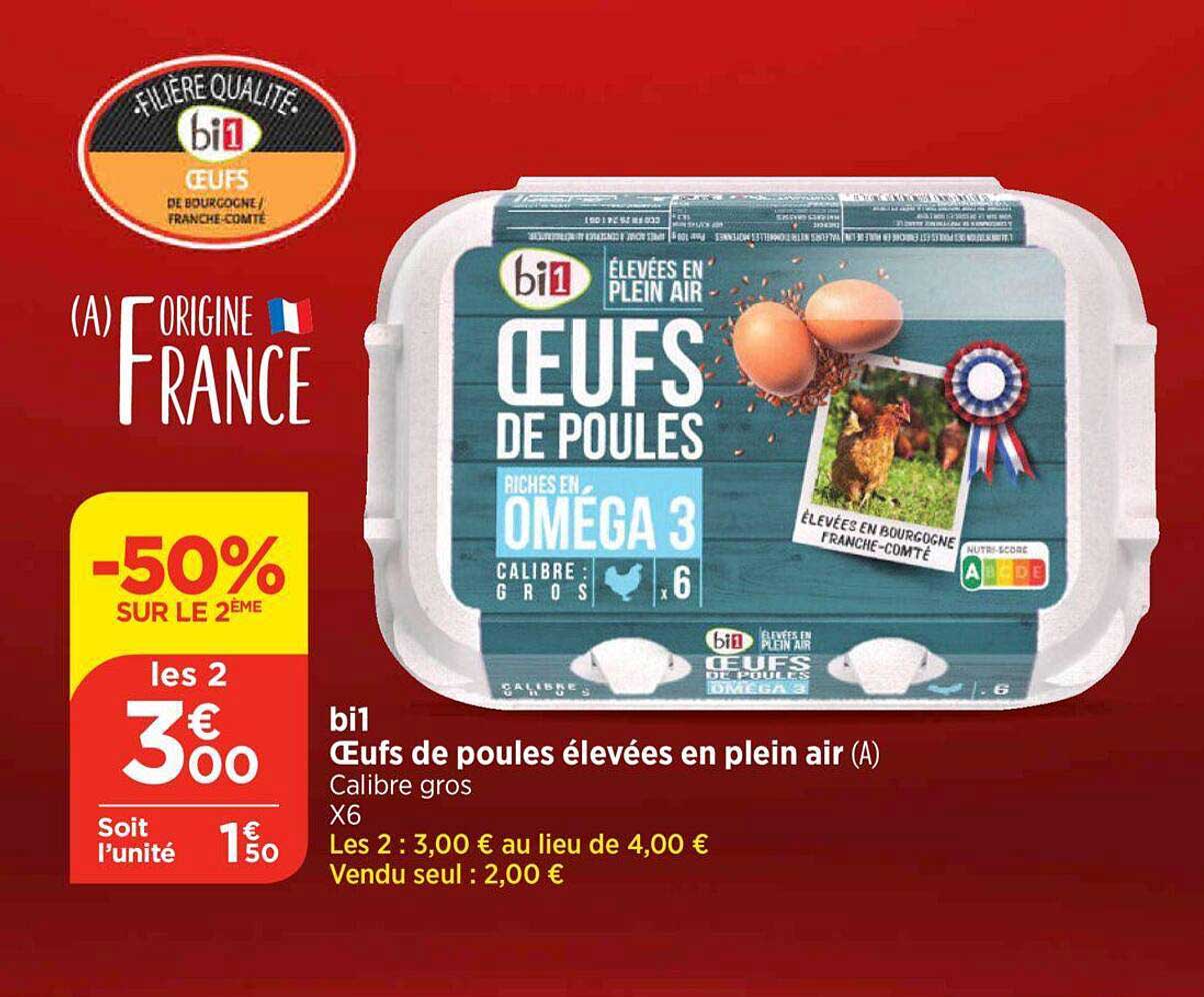 bi1 oeufs de poules élevées en plein air