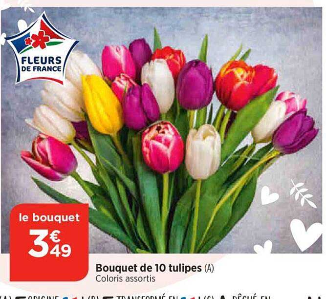 Bouquet De 10 Tulipes