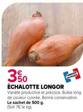 échalotte longor