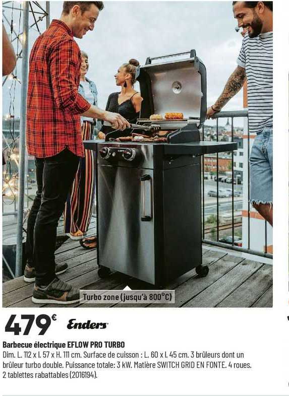 enders barbecue électrique eflow pro turbo