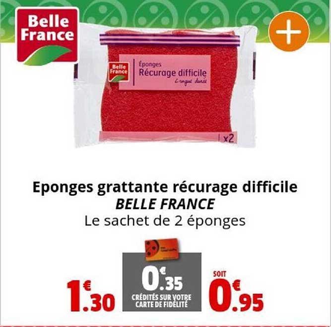 éponges grattante récurage difficile belle france