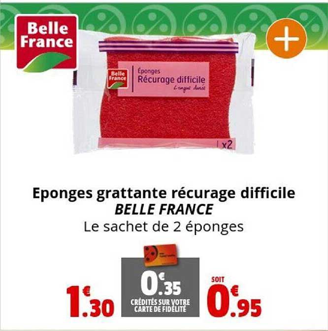 eponges grattante récurage difficile belle france