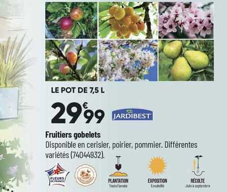 Fruitiers Gobelets Jardibest