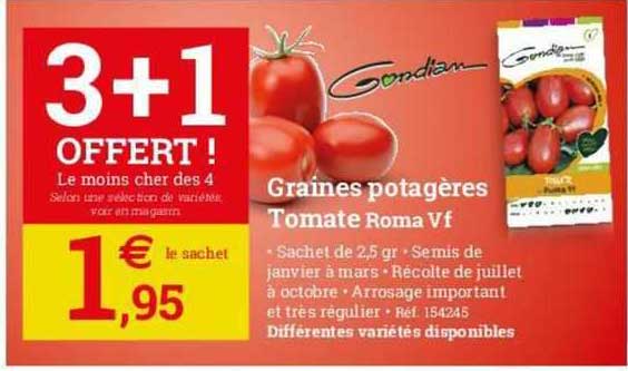 graines potagères tomate roma vf