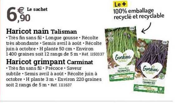 haricot nain talisman haricot grimpant carminat