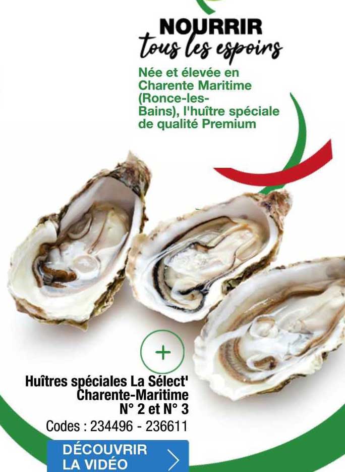 huîtres spéciales la sélect' charente-maritime n°2 et n°3