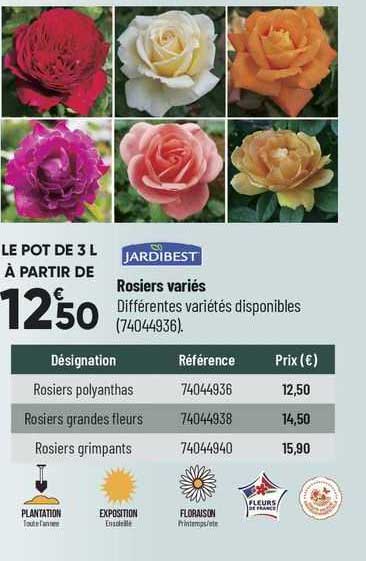 jardibest rosiers variés