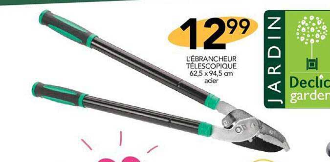 L'ébrancheur Télescopique