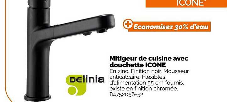 mitigeur de cuisine avec douchette icone delinia