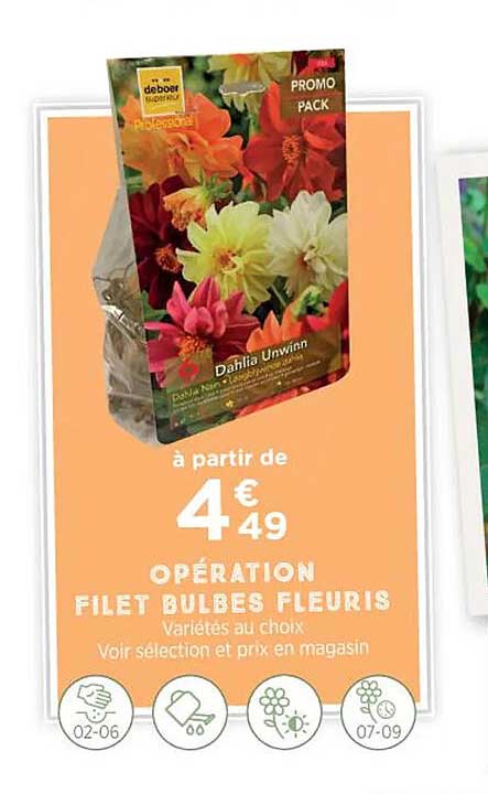 opération filet bulbes fleuris
