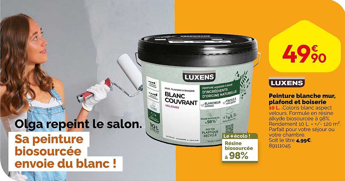 peinture blanche mur, plafond et boiserie luxens