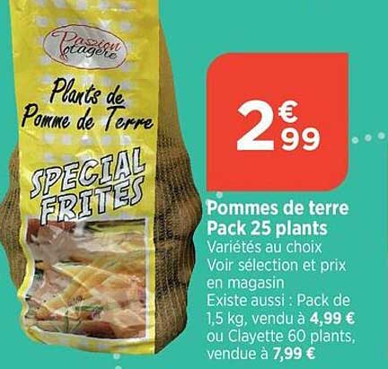 pommes de terre pack 25 plants