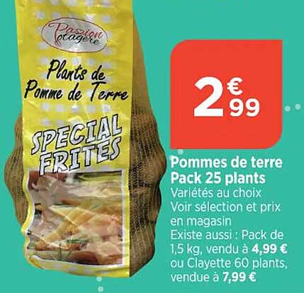 pommes de terre pack 25 plants