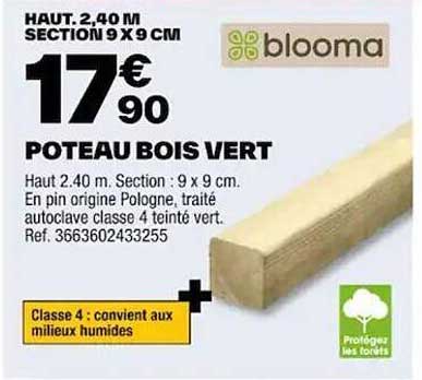 Poteau Bois Vert Blooma