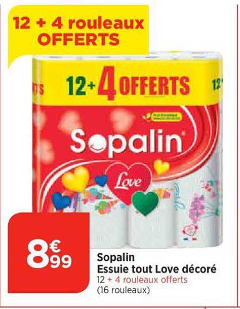 sopalin essuie tout love décoré