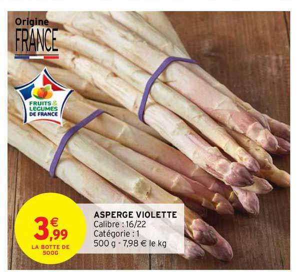 asperge violette