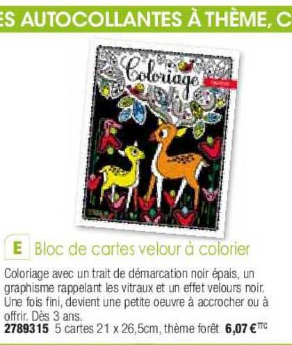 bloc de cartes vélour à colorier