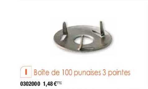 boîte de 100 punaises 3 pointes