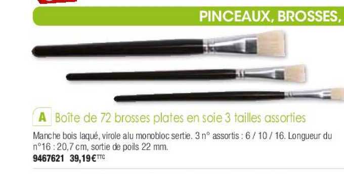 boîte de 72 brosses plates en soie 3 tailles assorties