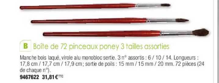 boîte de 72 pinceaux poney 3 tailles assorties