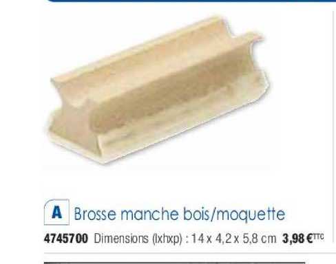 brosse manche bois moquette