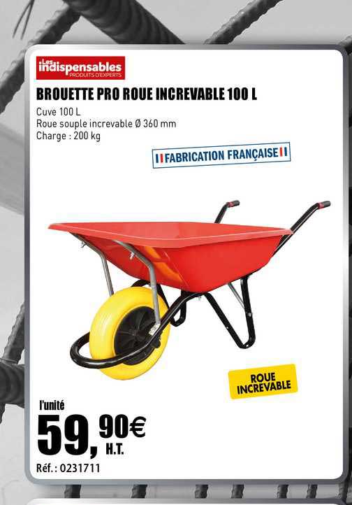 brouette pro roue increvable 100 l