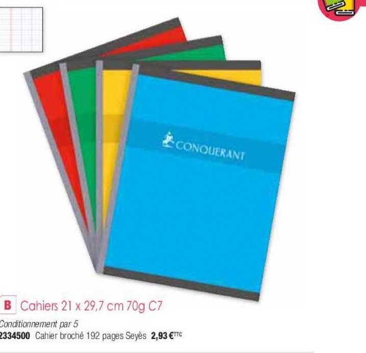 cahiers 21 x 29.7 cm 70g c7