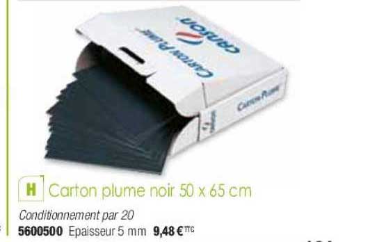 Carton Plume Noir 50 X 65 Cm