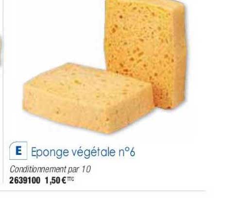 éponge végétale n° 6
