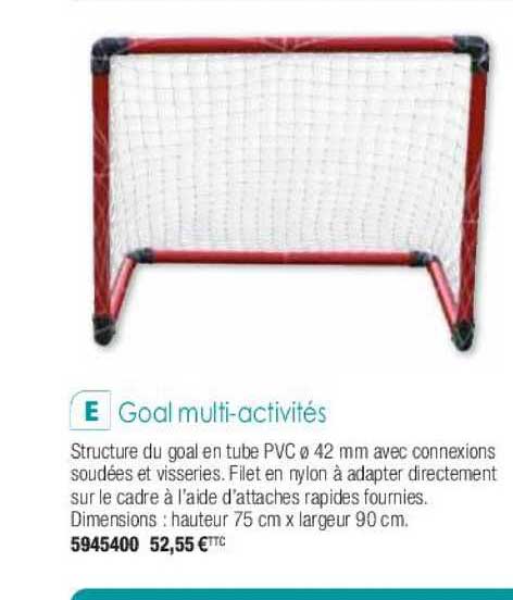 goal multi-activités