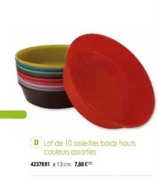 lot de 10 assiettes bords hauts couleurs assorties